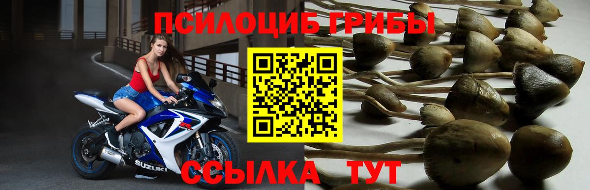 Галлюциногенные грибы мухоморы Усинск