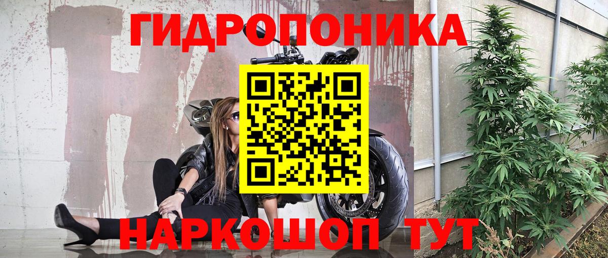 Бошки Шишки тримм Усинск
